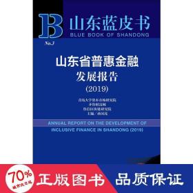 山东蓝皮书：山东省普惠金融发展报告（2019）