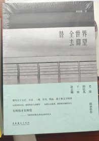 替全世界去仰望