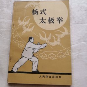 杨式太极拳（实物拍照