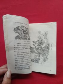 虎