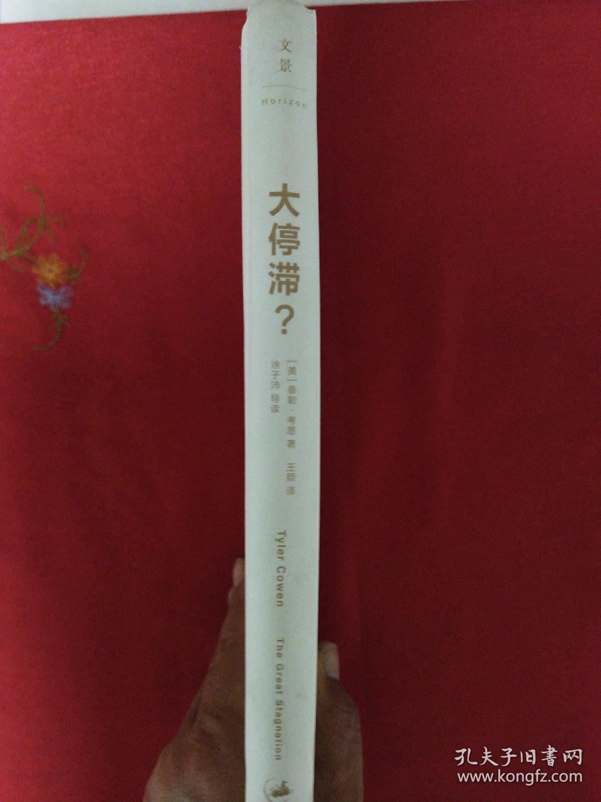 大停滞？科技高原下的经济困境：美国的难题与中国的机遇（一版一印）