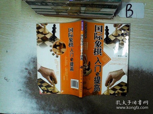 棋牌娱乐指南：国际象棋入门与提高