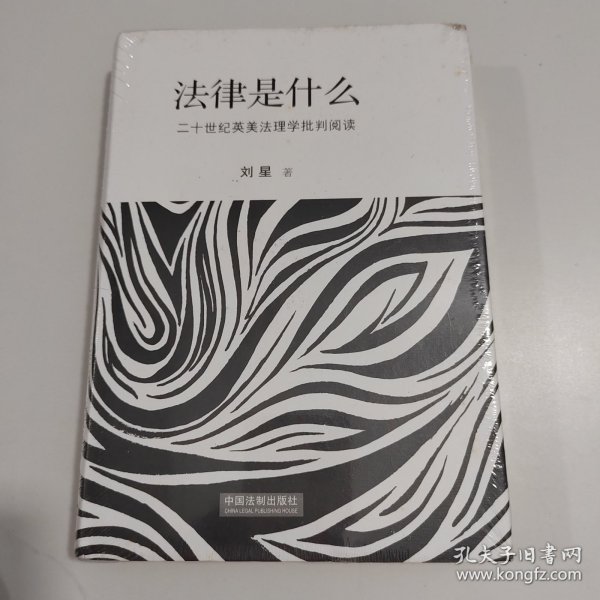 法律是什么：二十世纪英美法理学批判阅读（精装修订版）