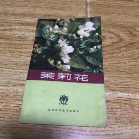 茉莉花