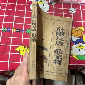 薛刚反唐·薛家将