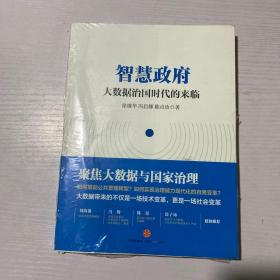 智慧政府：大数据治国时代的来临 未拆封