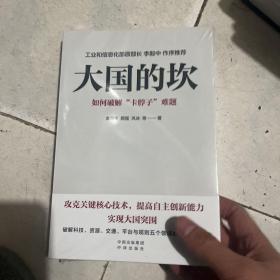 大国的坎：如何破解“卡脖子”难题