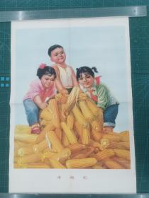 对开宣传画年画《丰收忙》中国经典年画宣传画电影海报大展示，获奖作品
