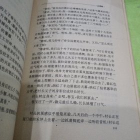 荒野的風，刘小兵小说