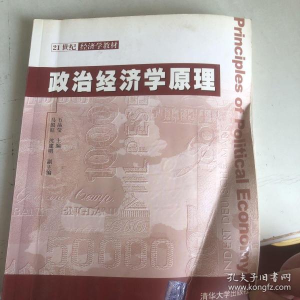 21世纪经济学教材：政治经济学原理