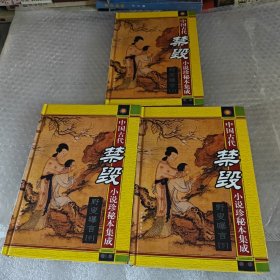 中国古代禁毁小说珍秘本集成野叟曝言上中下