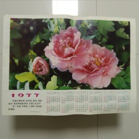 挂历画 ——1977年（1-12）月份