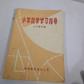 小学数学学习指导（上下册令编）