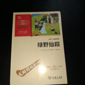 绿野仙踪（中小学生课外阅读指导丛书）彩插无障碍阅读 智慧熊图书