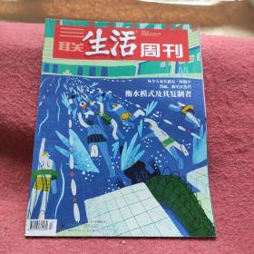 三联生活周刊2023年第17期（衡水模式及其复制者）