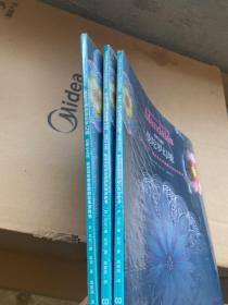 瓦伦汀娜的曼陀罗幻境：幻若心之花，独创花形能量圈的忘忧涂色书