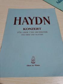 haydn