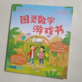 图灵数字游戏书