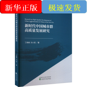 新时代中国城市群高质量发展研究