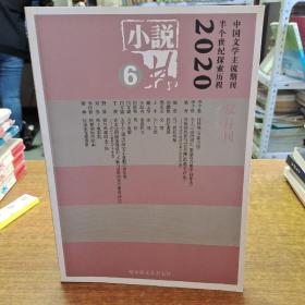 小说林 2020-6 双月刊