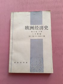 欧洲经济史 第五卷 下