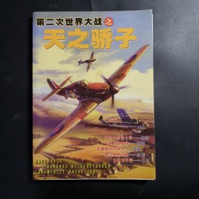 第二次世界大战之天之骄子