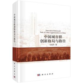 中国城市群的创新格局与路径