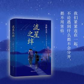 东野圭吾：流星之绊