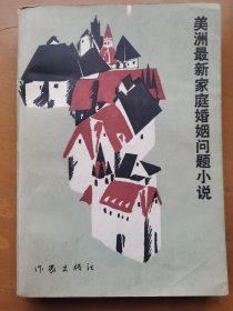 美洲最新家庭婚姻问题小说