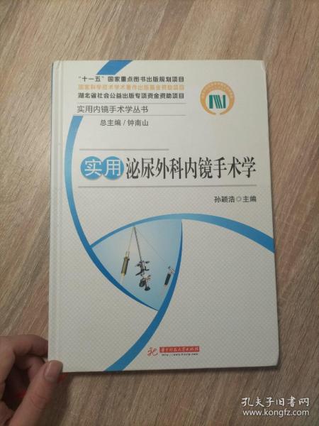 实用内镜手术学丛书·实用泌尿外科内镜手术学