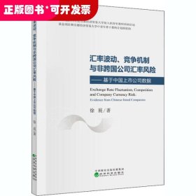 汇率波动、竞争机制与非跨国公司汇率风险：基于中国上市公司数据