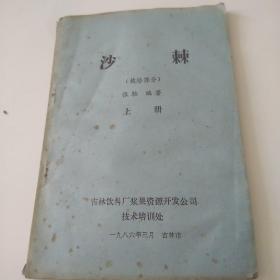 沙棘，上册