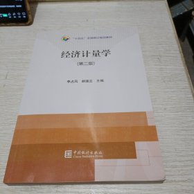 经济计量学(第2版十四五全国统计规划教材)