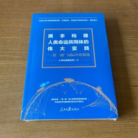 携手构建人类命运共同体的伟大实践【全新未开封实物拍照现货正版】