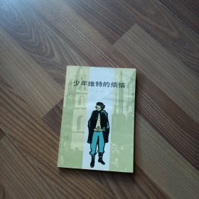 少年维特的烦恼