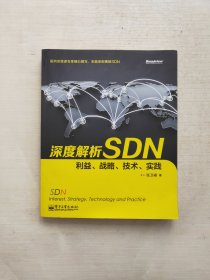 深度解析SDN 利益、战略、技术、实践