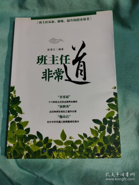 班主任非常道--班主任从业、修炼、提升的指导丛书