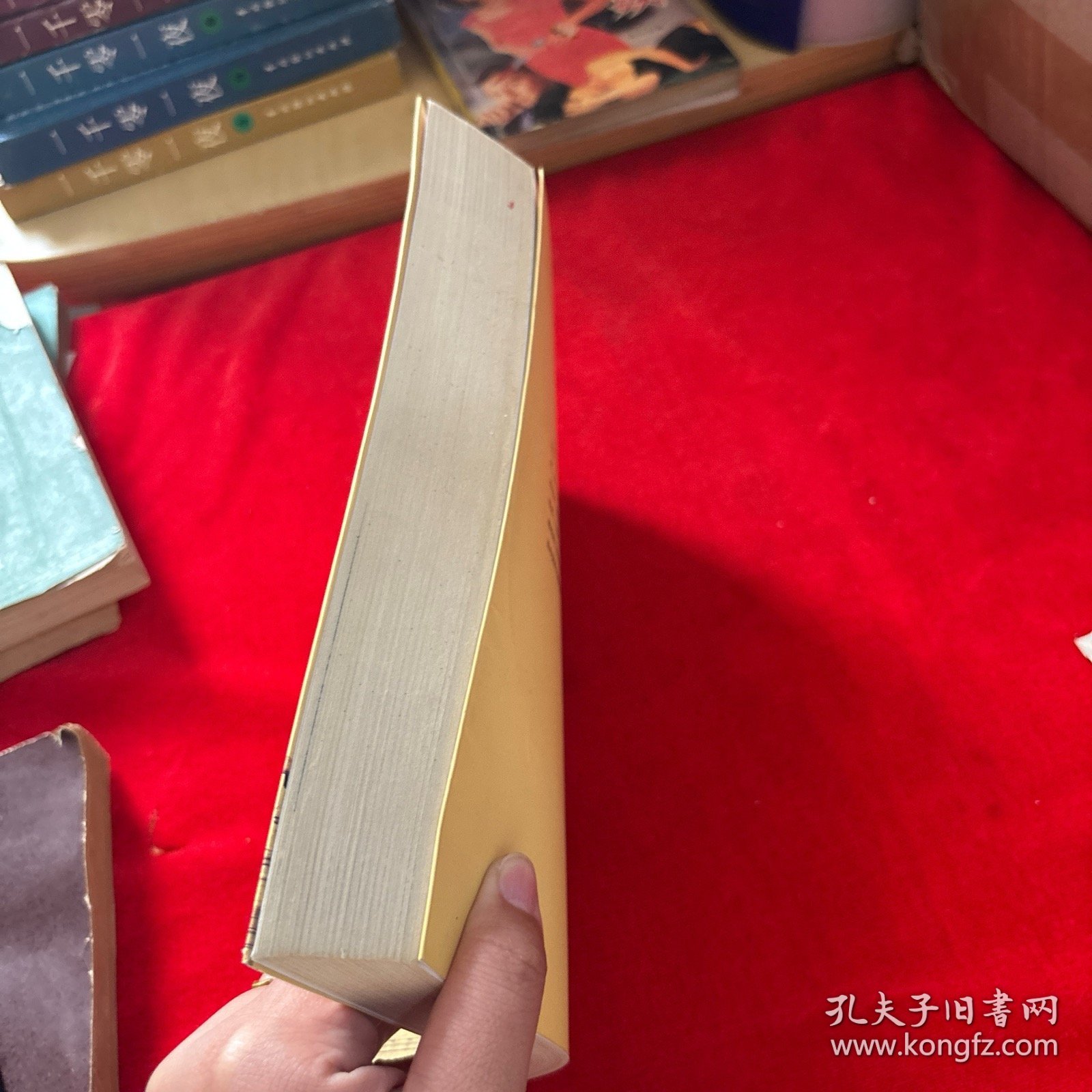 囚徒天子光绪皇帝
