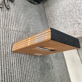 商海智谋宝鉴-中外市场营销经典案例评析