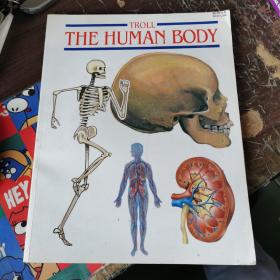 THE HUMAN BODY