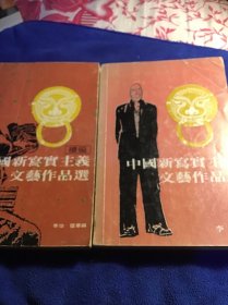 中国新写实主义文艺作品选  正编续编两本合售