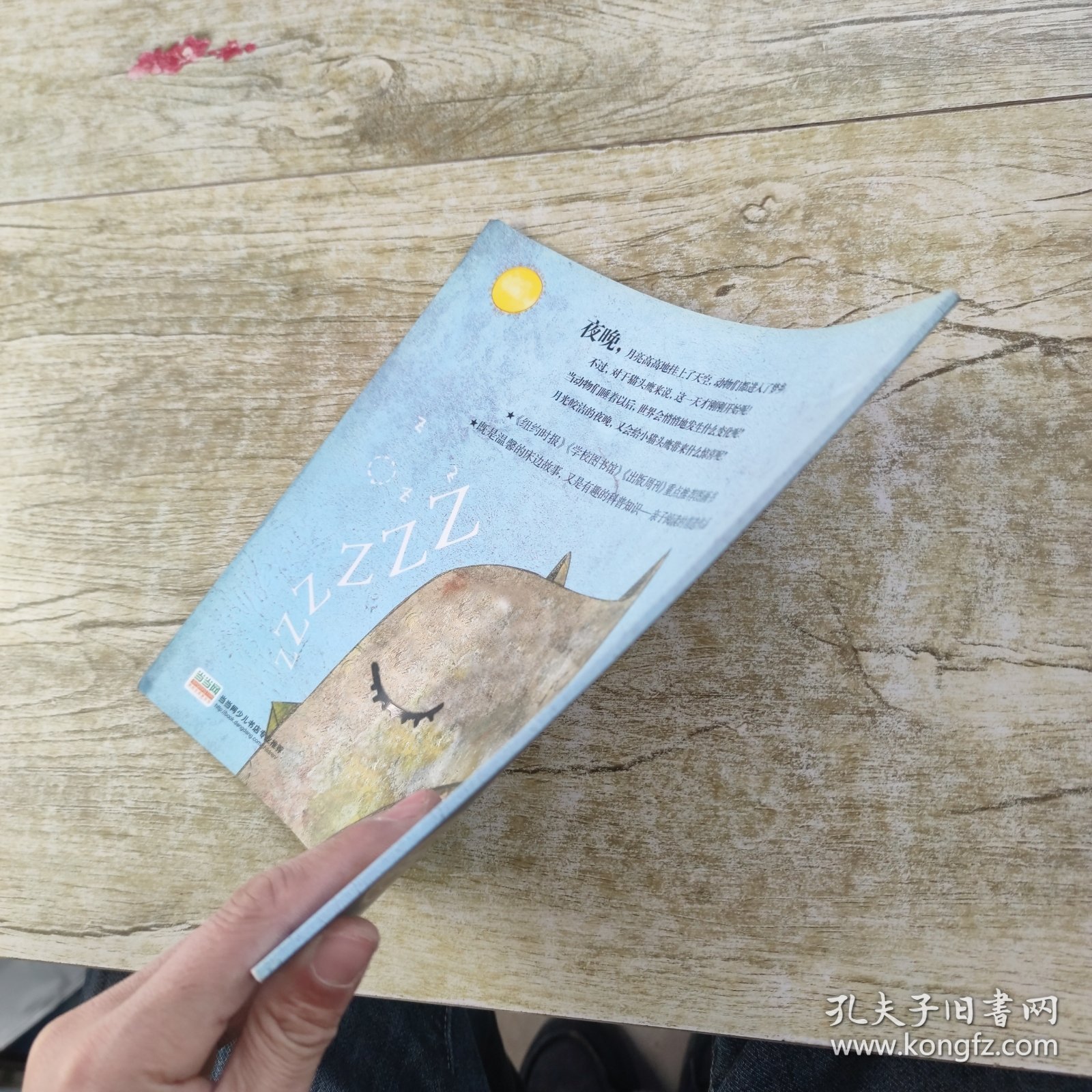 Zzzzz一本讲述睡觉的书