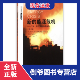 新的能源危机--气候经济学和地缘政治(第2版)/世界新能源投资译丛
