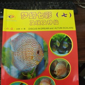 梦幻七彩 7