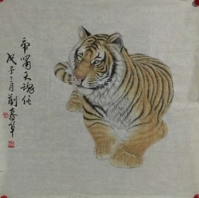 已故名家刘春草工笔老虎 尺寸68*68，老画片。