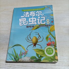 法布尔昆虫记（注音版）圆网蛛:精明的捕猎高手