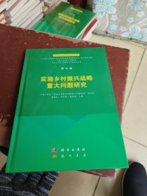 综合卷  实施乡村振兴战略重大问题研究