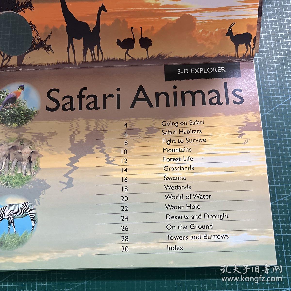3-D Explorer: Safari Animals 3D探索系列：野生动物(立体书)［精装］