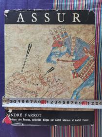 ASSUR