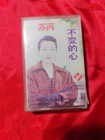 磁带 天若有情
